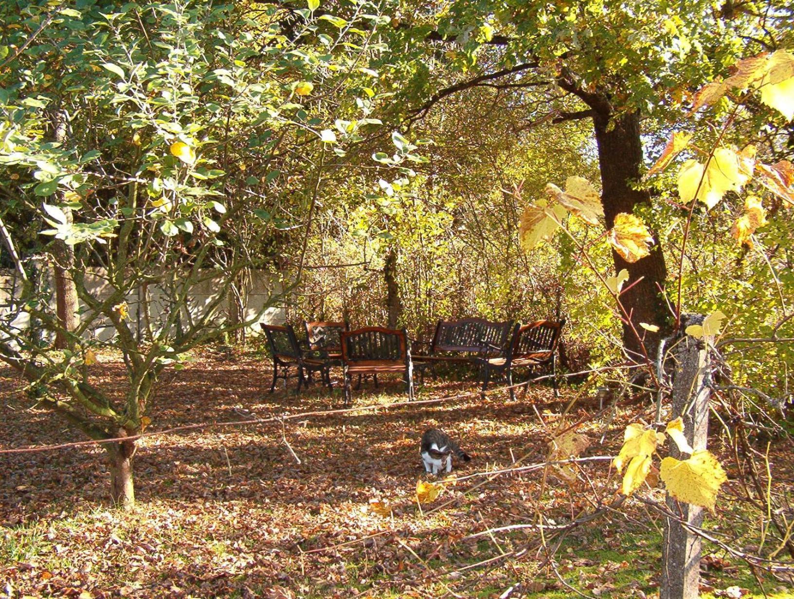 La Longere Des Gillettes Bed and Breakfast Bézenet Exteriör bild